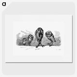 1-66_British-Library_picture