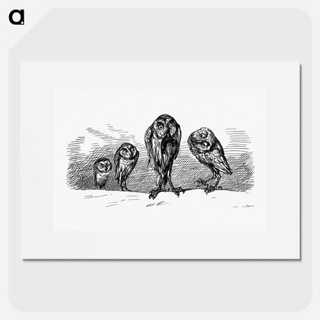 アートポスター-Owls from Griset's Grotesques
 - 大英図書館 Poster.