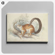 1-66_Charles-Hamilton-Smith_canvas