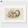1-66_Charles-Hamilton-Smith_picture