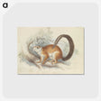 1-66_Charles-Hamilton-Smith_postcard