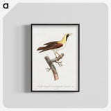 1-66_Des-Oiseaux-de-Paradis_blk-crop