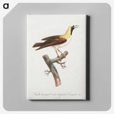 1-66_Des-Oiseaux-de-Paradis_canvas