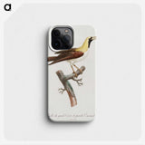 1-66_Des-Oiseaux-de-Paradis_phone
