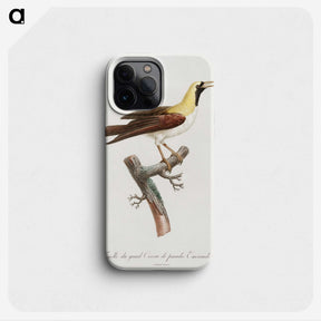 1-66_Des-Oiseaux-de-Paradis_phone