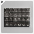 1-66_Eadweard-Muybridge_canvas