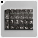 1-66_Eadweard-Muybridge_canvas