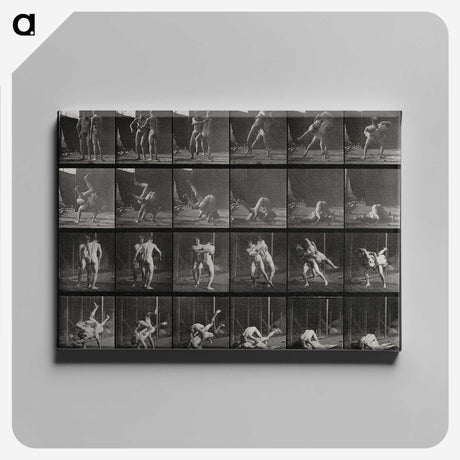 1-66_Eadweard-Muybridge_canvas