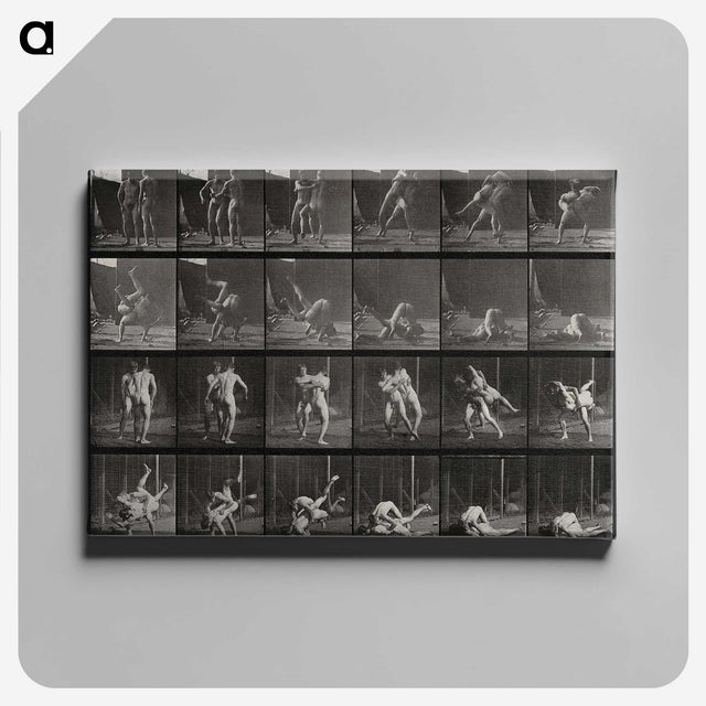 1-66_Eadweard-Muybridge_canvas