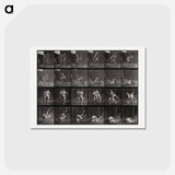 アートポストカード-Wrestling Men
 - エドワード マイブリッジ Postcard.