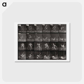 アートポストカード-Wrestling Men
 - エドワード マイブリッジ Postcard.