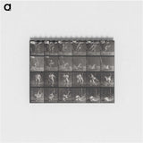 1-66_Eadweard-Muybridge_memo