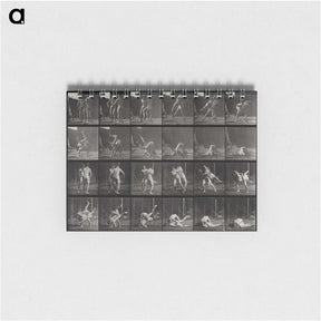 1-66_Eadweard-Muybridge_memo