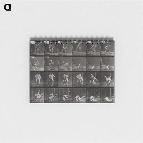 1-66_Eadweard-Muybridge_memo
