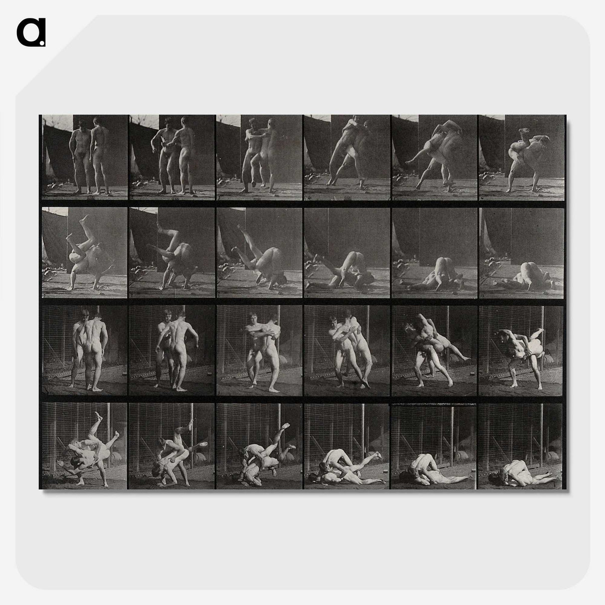 1-66_Eadweard-Muybridge_picture-crop
