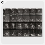 1-66_Eadweard-Muybridge_picture-crop