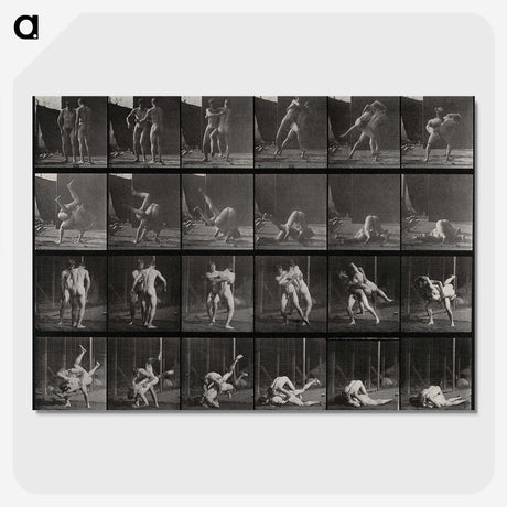 1-66_Eadweard-Muybridge_picture-crop