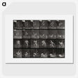 1-66_Eadweard-Muybridge_picture