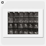 1-66_Eadweard-Muybridge_picture