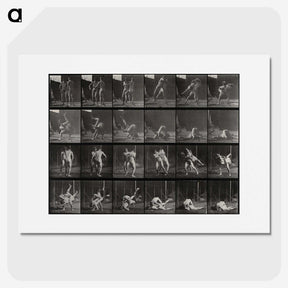 1-66_Eadweard-Muybridge_picture