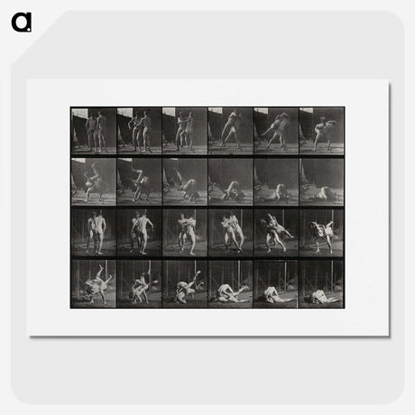 1-66_Eadweard-Muybridge_picture
