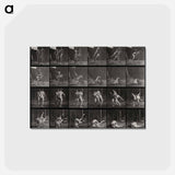 アートポストカード-Wrestling Men
 - エドワード マイブリッジ Postcard.