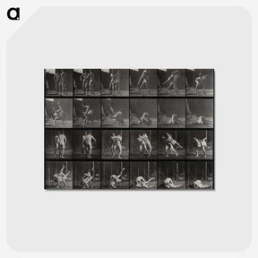 1-66_Eadweard-Muybridge_postcard