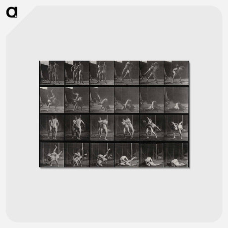 アートポストカード-Wrestling Men
 - エドワード マイブリッジ Postcard.
