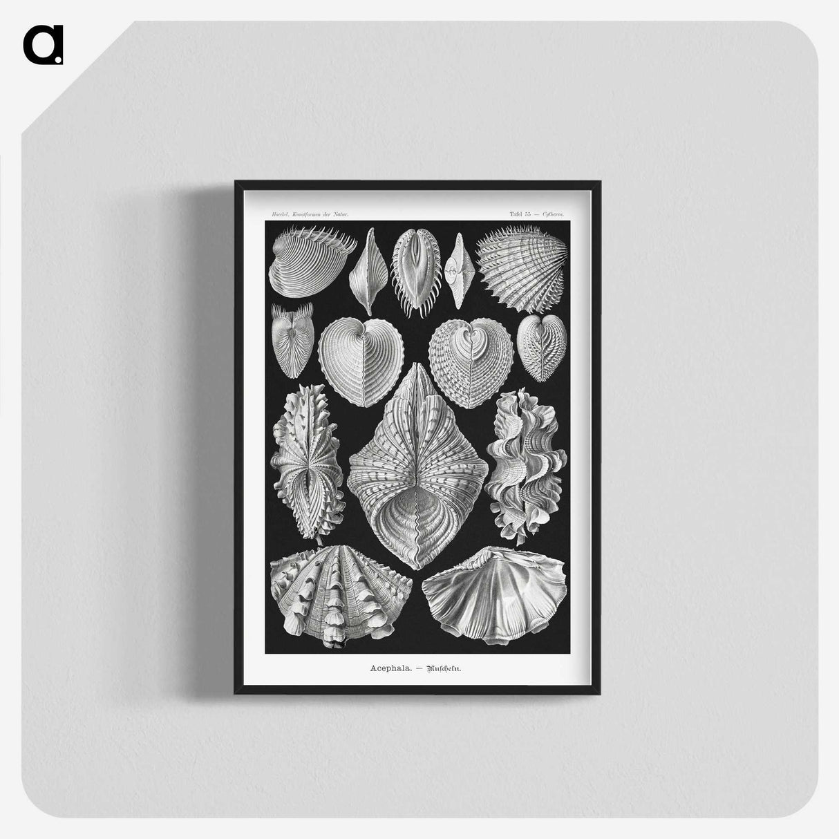 1-66_Ernst-Haeckel_blk-crop
