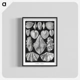 1-66_Ernst-Haeckel_blk-crop