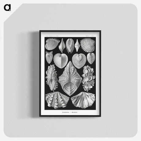 1-66_Ernst-Haeckel_blk-crop
