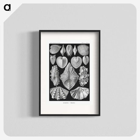 1-66_Ernst-Haeckel_blk