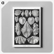 1-66_Ernst-Haeckel_canvas