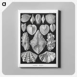 1-66_Ernst-Haeckel_canvas