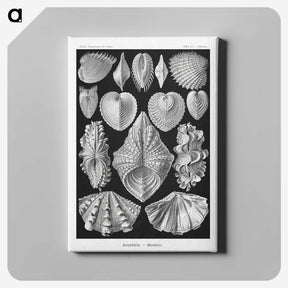 1-66_Ernst-Haeckel_canvas