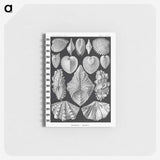 1-66_Ernst-Haeckel_memo