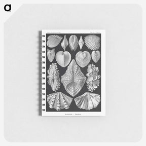 1-66_Ernst-Haeckel_memo