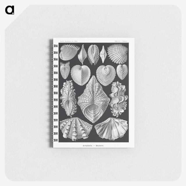 1-66_Ernst-Haeckel_memo