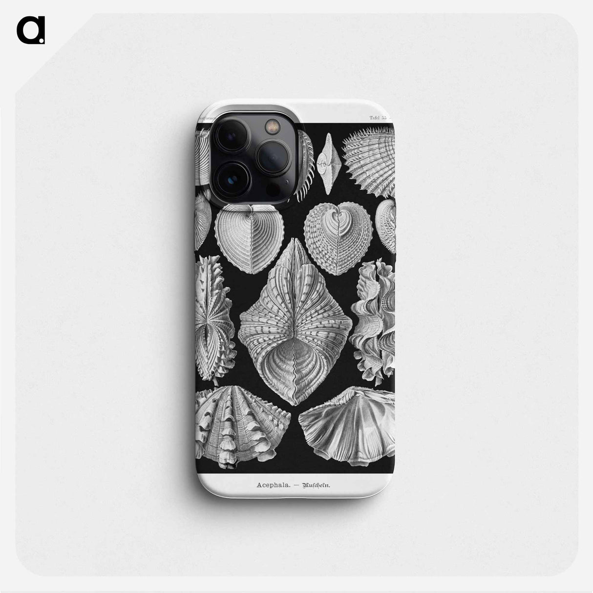 Acephala–Muscheln from Kunstformen der Natur - エルンスト ヘッケル Phone Case.