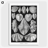 1-66_Ernst-Haeckel_picture-crop