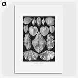1-66_Ernst-Haeckel_picture