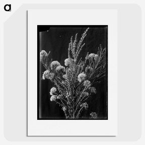 1-66_Frederick-Charles-Brockett_picture