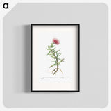 1-66_Histoire-des-Plantes-Grasses_blk