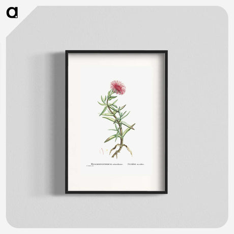 1-66_Histoire-des-Plantes-Grasses_blk