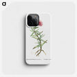 1-66_Histoire-des-Plantes-Grasses_phone