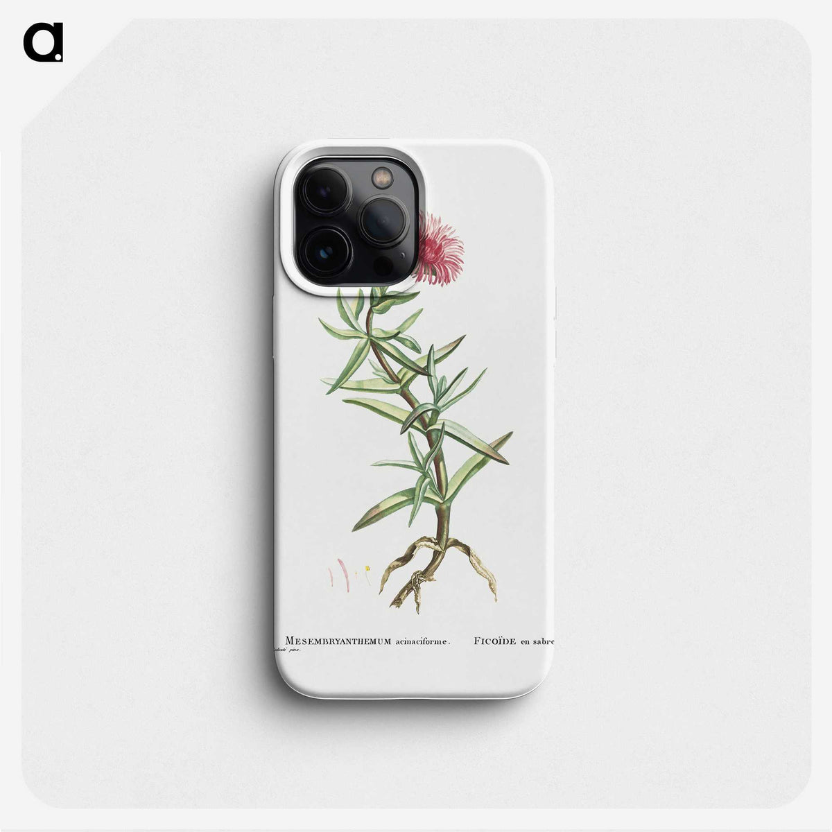 1-66_Histoire-des-Plantes-Grasses_phone