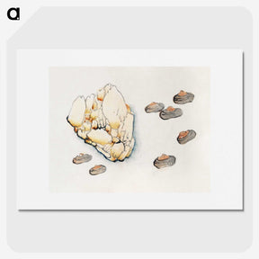 1-66_Hu-Zhengyan_picture