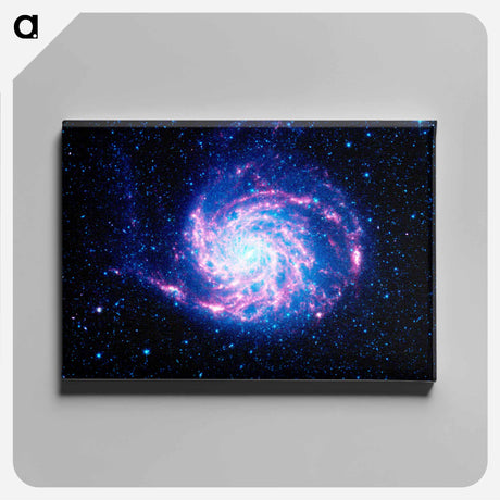 アートパネル-Pinwheel Galaxy
 - ハッブル画像 Canvas.