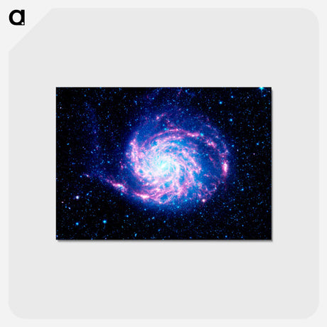 アートポストカード-Pinwheel Galaxy
 - ハッブル画像 Postcard.