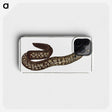 1-66_Ichtyologie-ou-Histoire-naturelle_phone